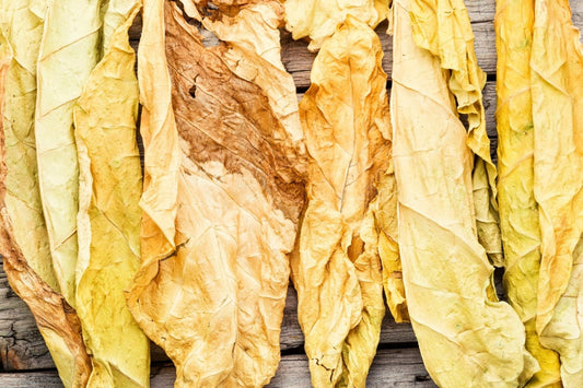 6 Surprising Foods That Contain Nicotine (And You Didn't Know)