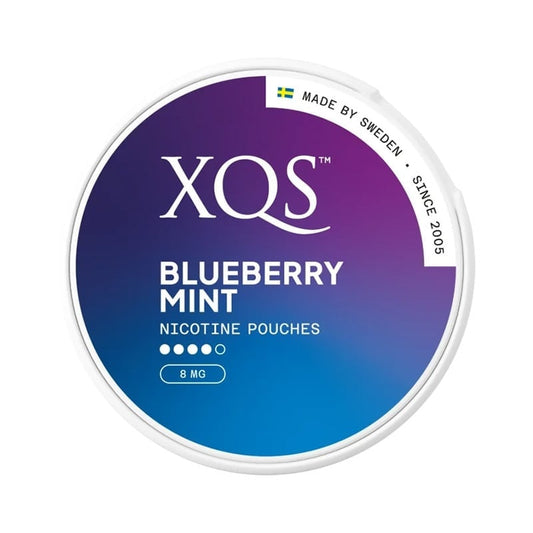 XQS Blueberry Mint