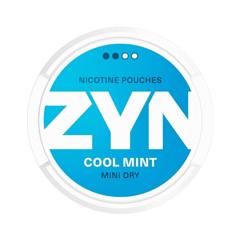 ZYN Kühle Minze Mini Trocken MEDIUM